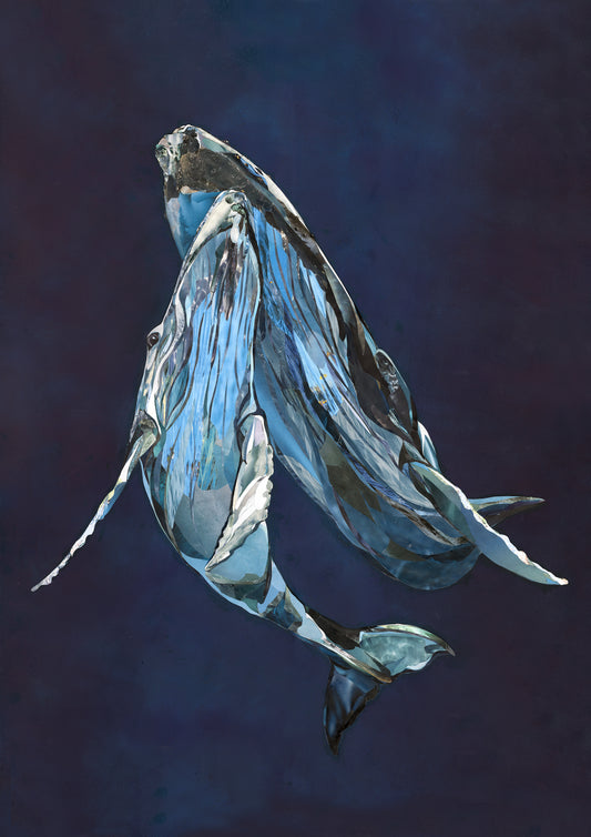 Echo of her Heart