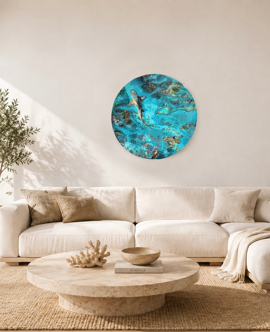 Ocean’s Paradise