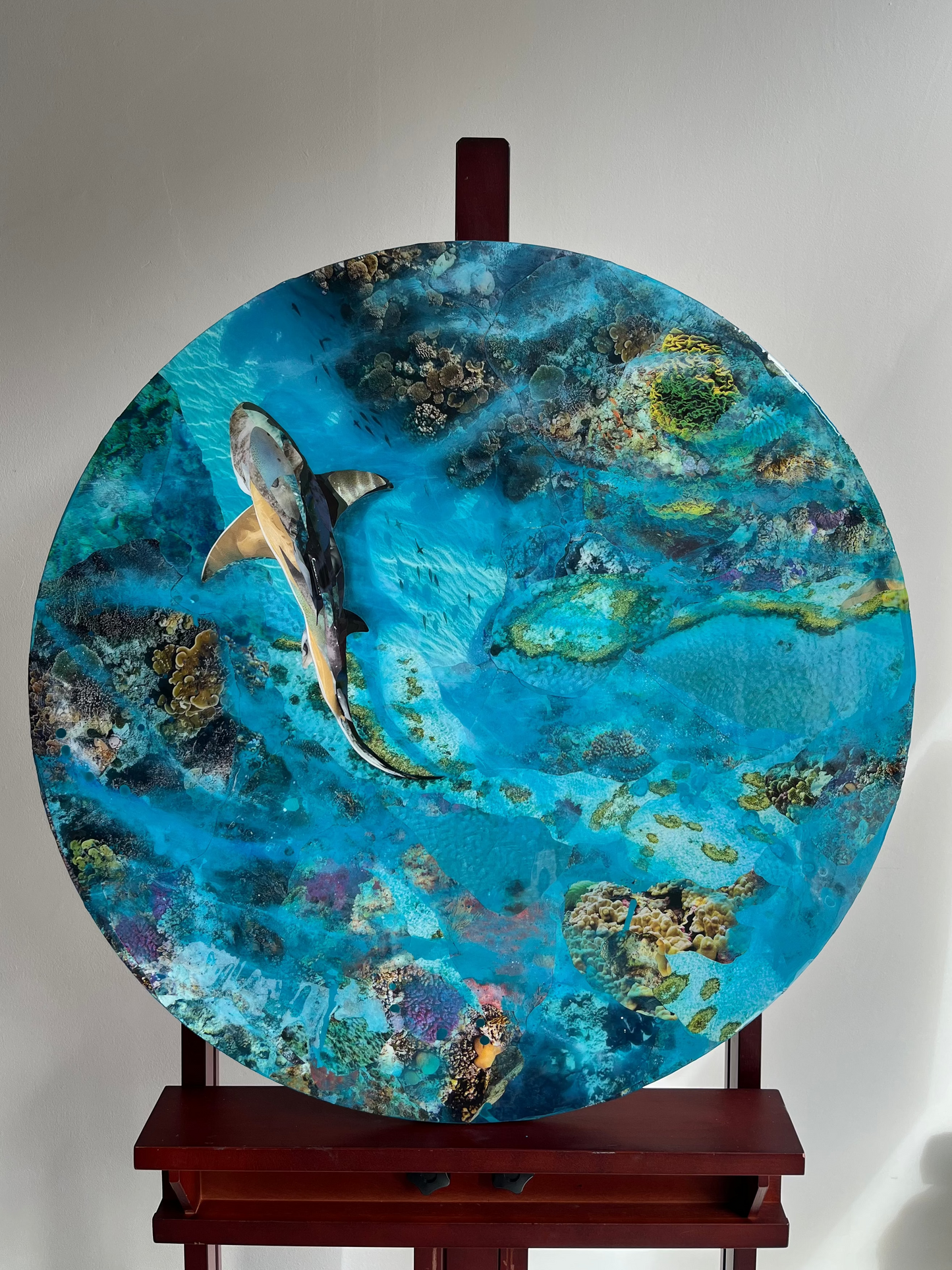 Ocean’s Paradise