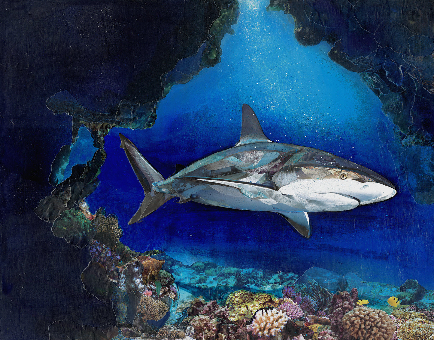 Keeper of the Cove